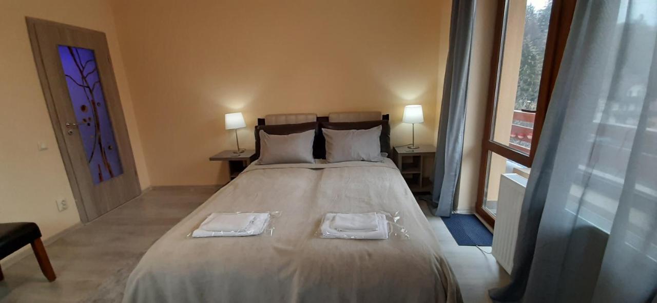 Kalinderu Skier'S Apartament Bellevue Buşteni Zewnętrze zdjęcie