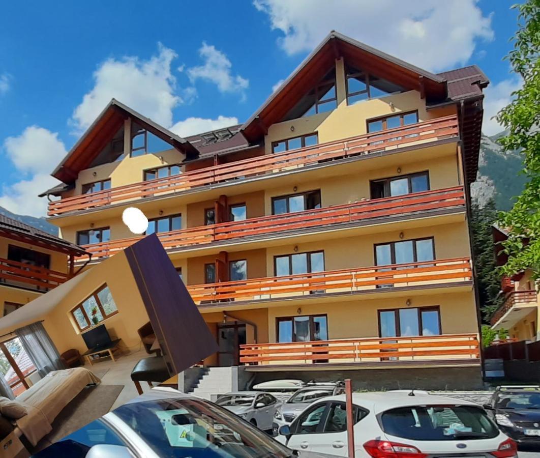 Kalinderu Skier'S Apartament Bellevue Buşteni Zewnętrze zdjęcie