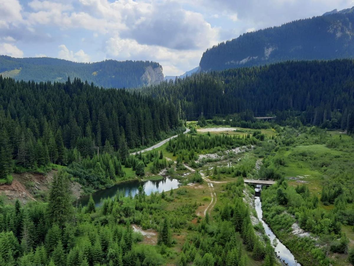 Kalinderu Skier'S Apartament Bellevue Buşteni Zewnętrze zdjęcie