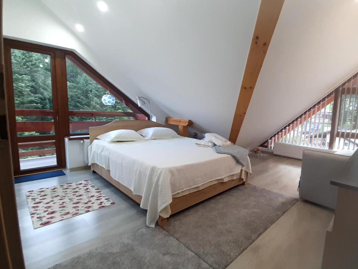 Kalinderu Skier'S Apartament Bellevue Buşteni Zewnętrze zdjęcie