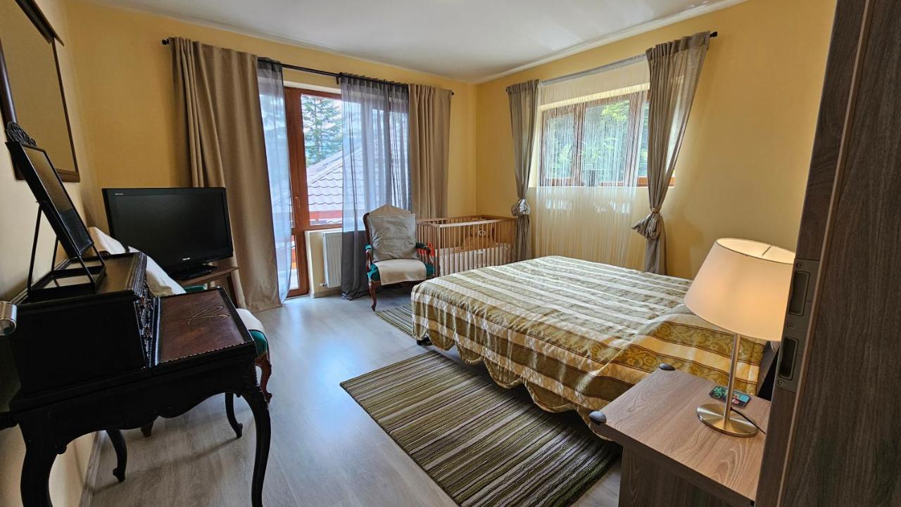 Kalinderu Skier'S Apartament Bellevue Buşteni Zewnętrze zdjęcie